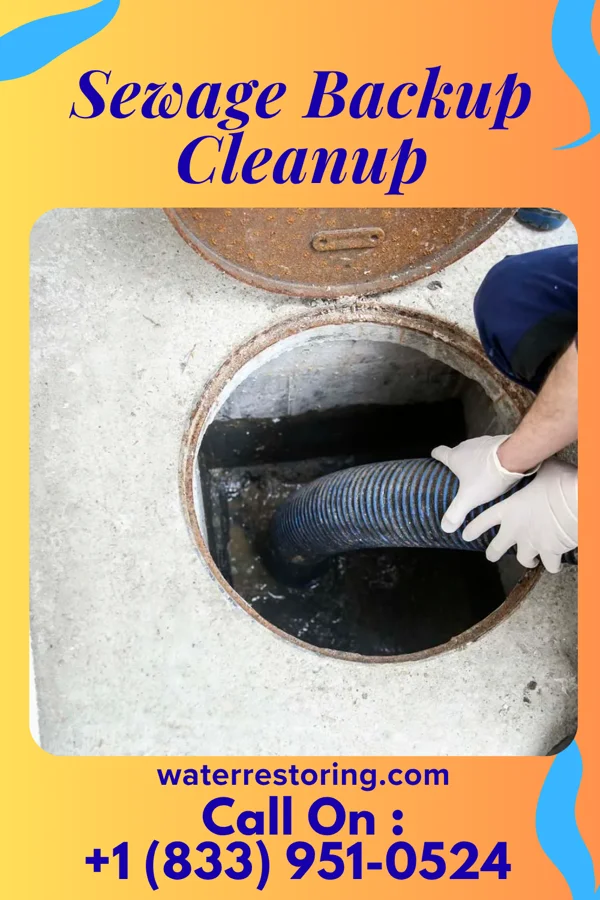 Sewage Backup Cleanup in Ghent, MN