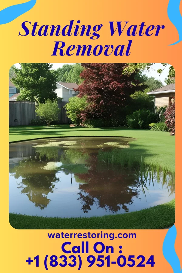 Standing Water Removal in Ghent, MN